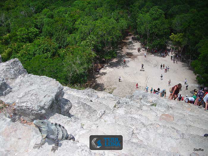 excursie coba