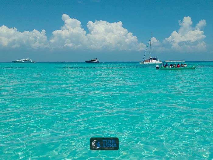 excursie walvishaai riviera maya
